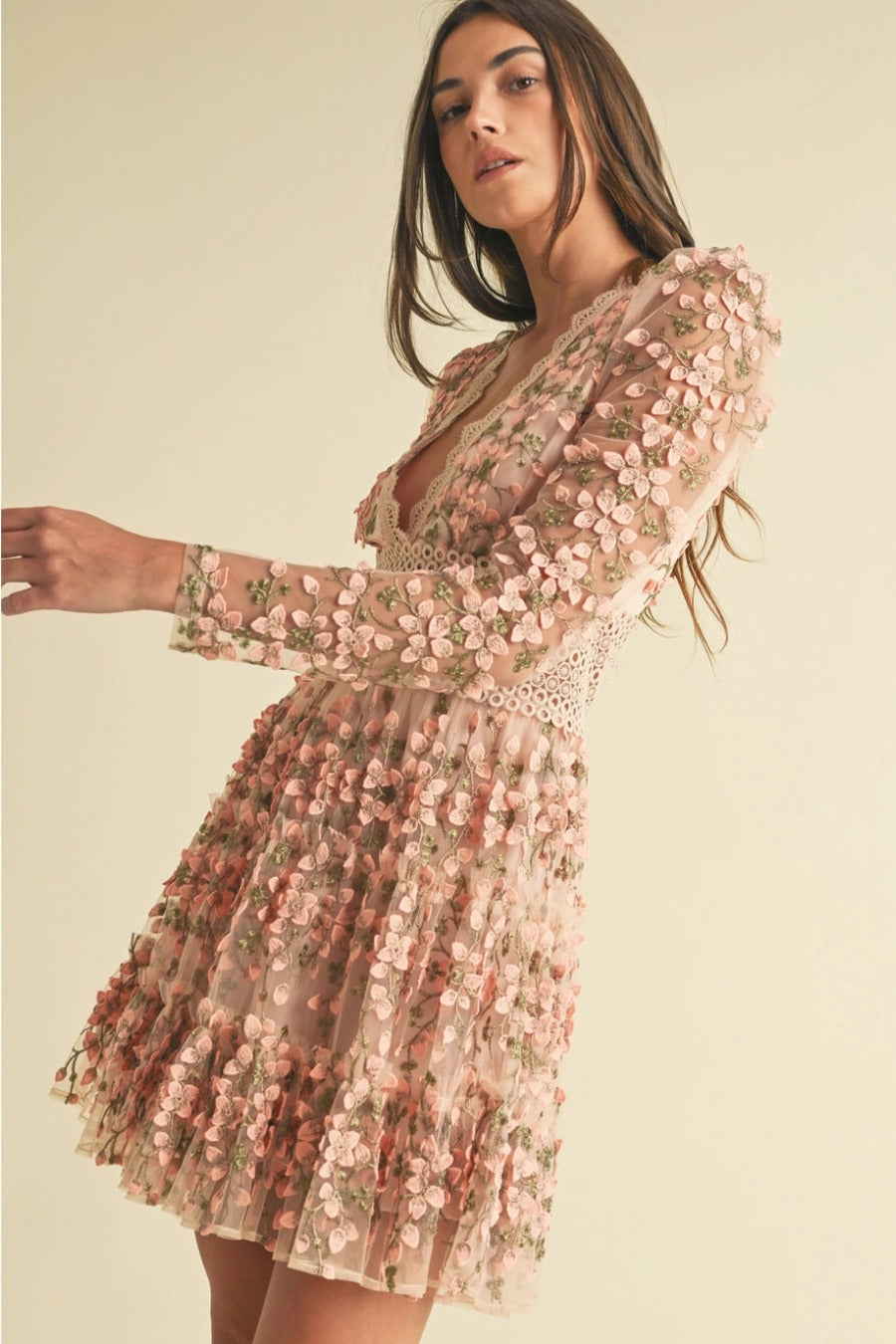 Floral Embroidered Tulle Mini Dress