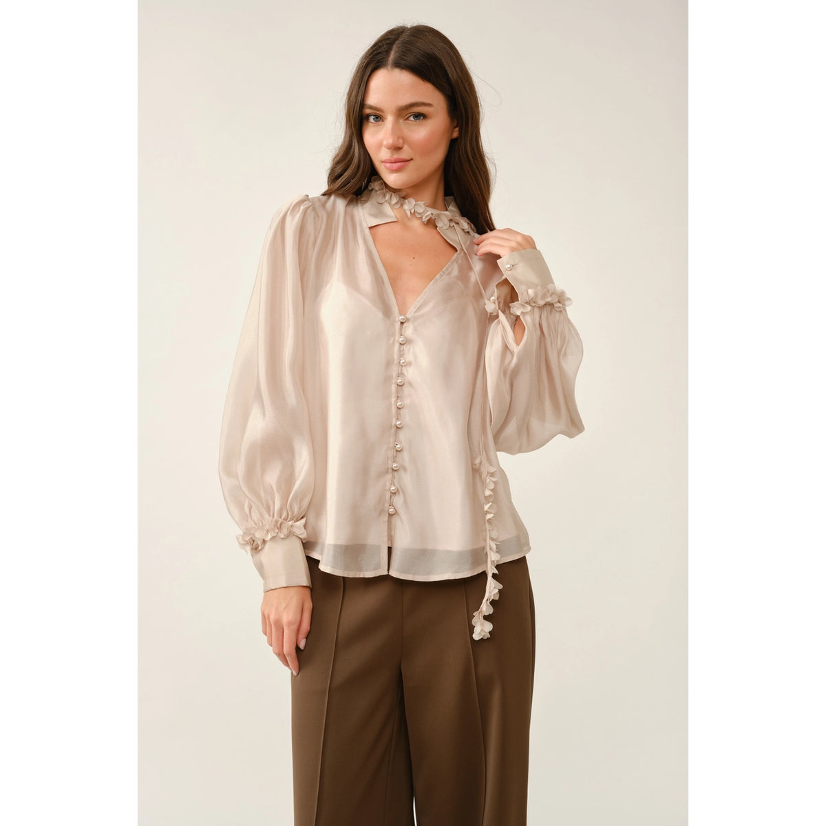 Sheer Floral Tie Neck Puff Sleeve Blouse - Champagne