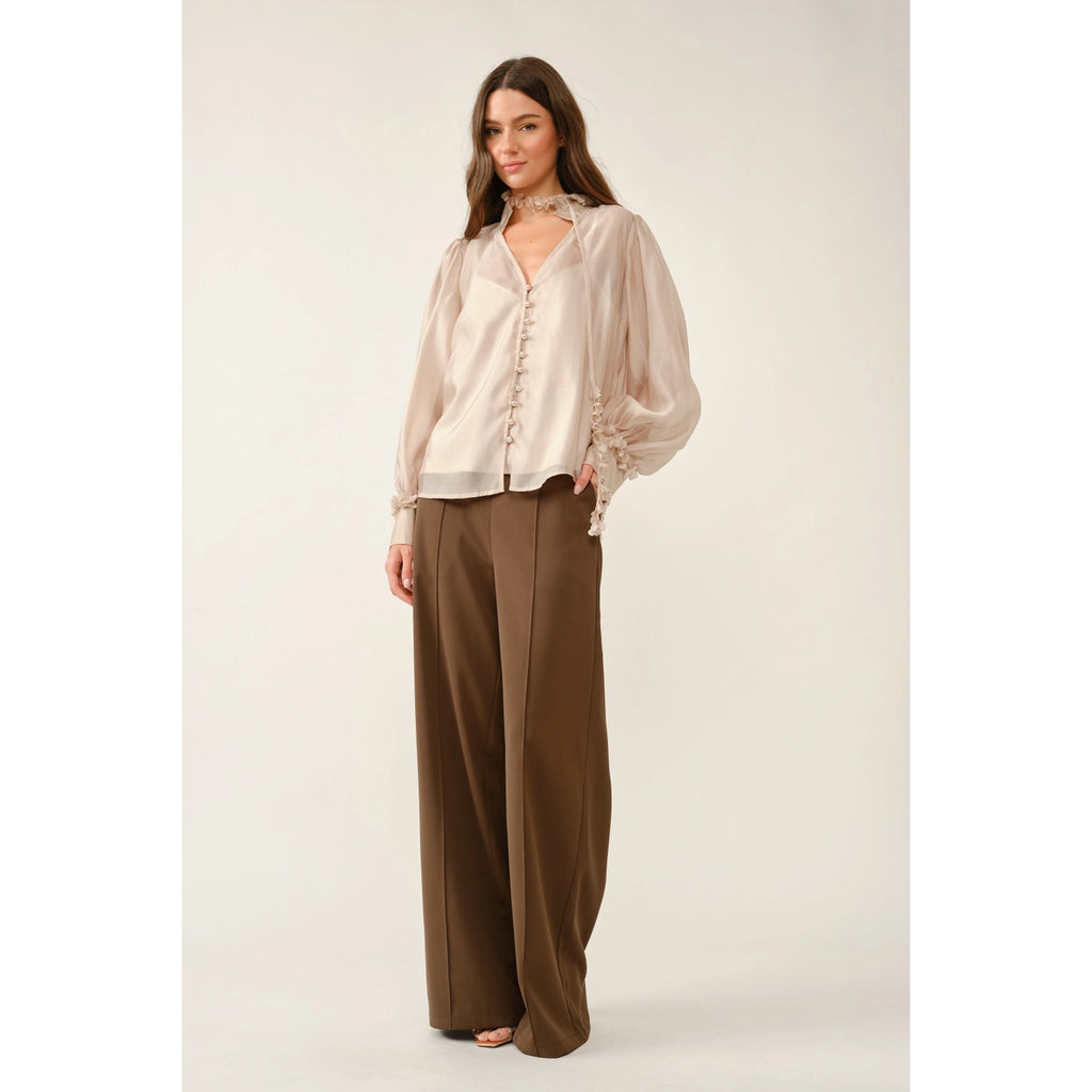 Sheer Floral Tie Neck Puff Sleeve Blouse - Champagne