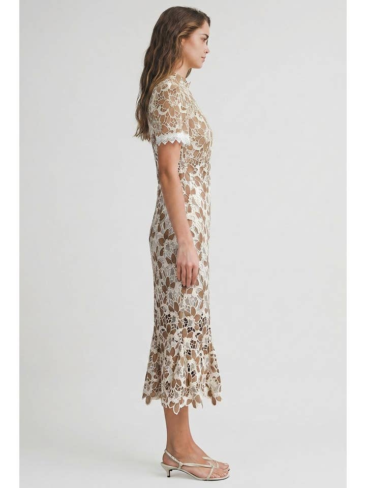 Luna Lace Midi Dress - Taupe
