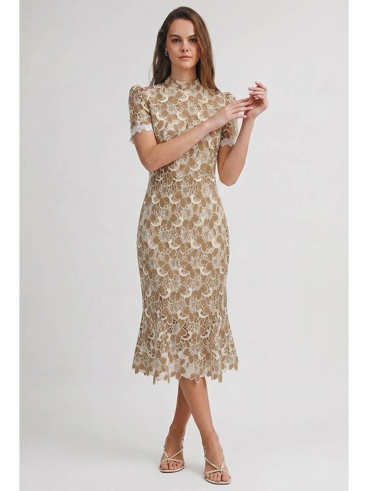 Luna Lace Midi Dress - Taupe