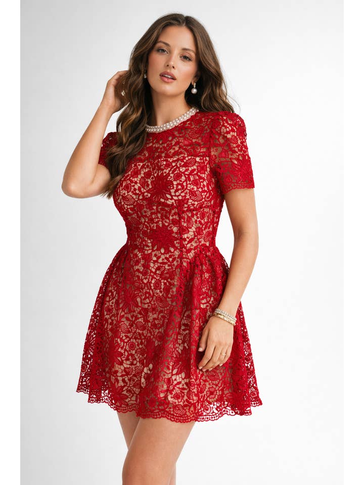 Embellished Lace Fit and Flare Mini Dress - Red