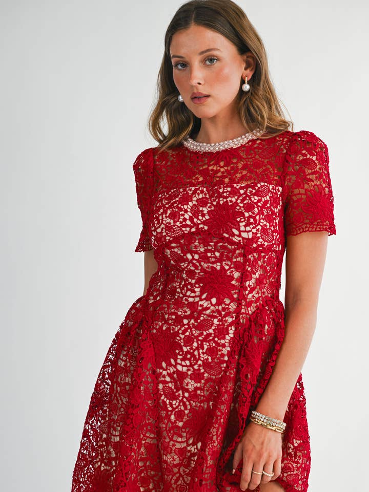 Embellished Lace Fit and Flare Mini Dress - Red