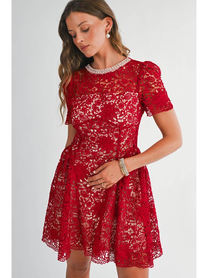 Embellished Lace Fit and Flare Mini Dress - Red
