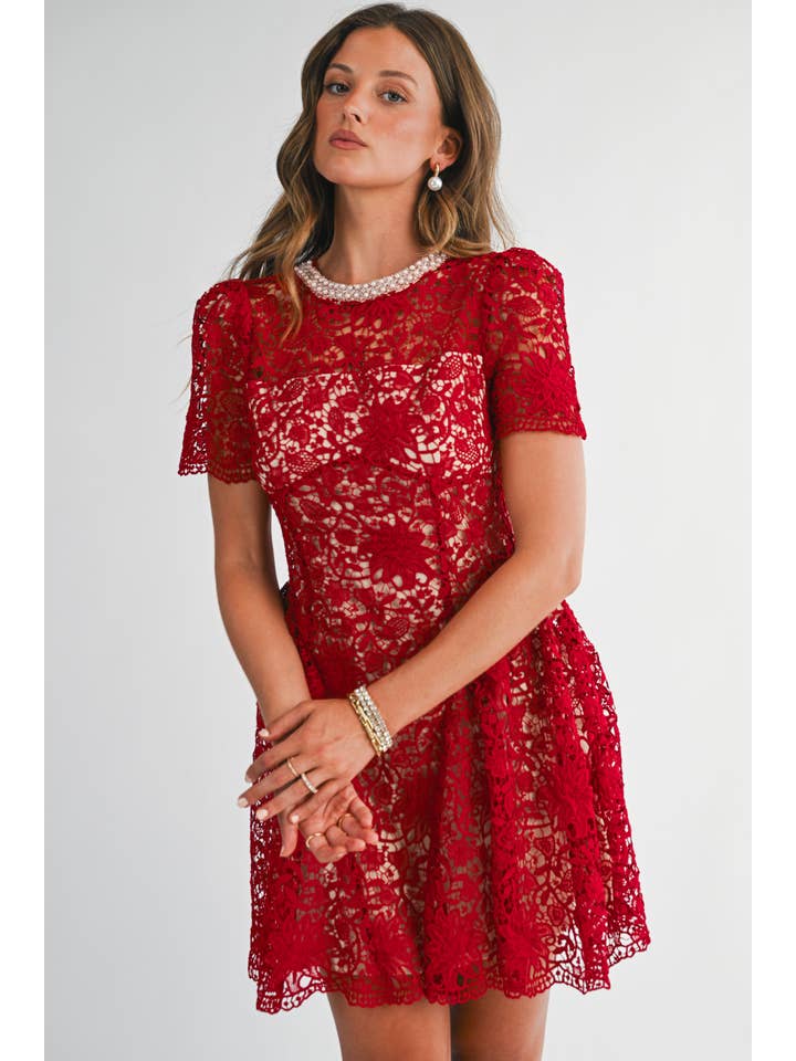 Embellished Lace Fit and Flare Mini Dress - Red