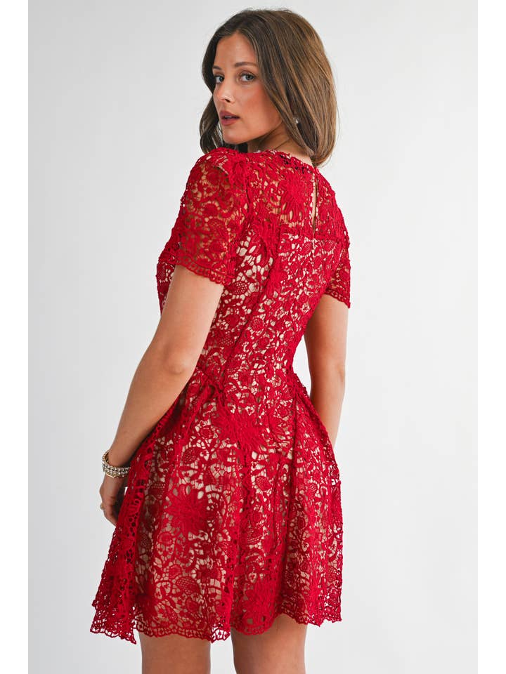 Embellished Lace Fit and Flare Mini Dress - Red