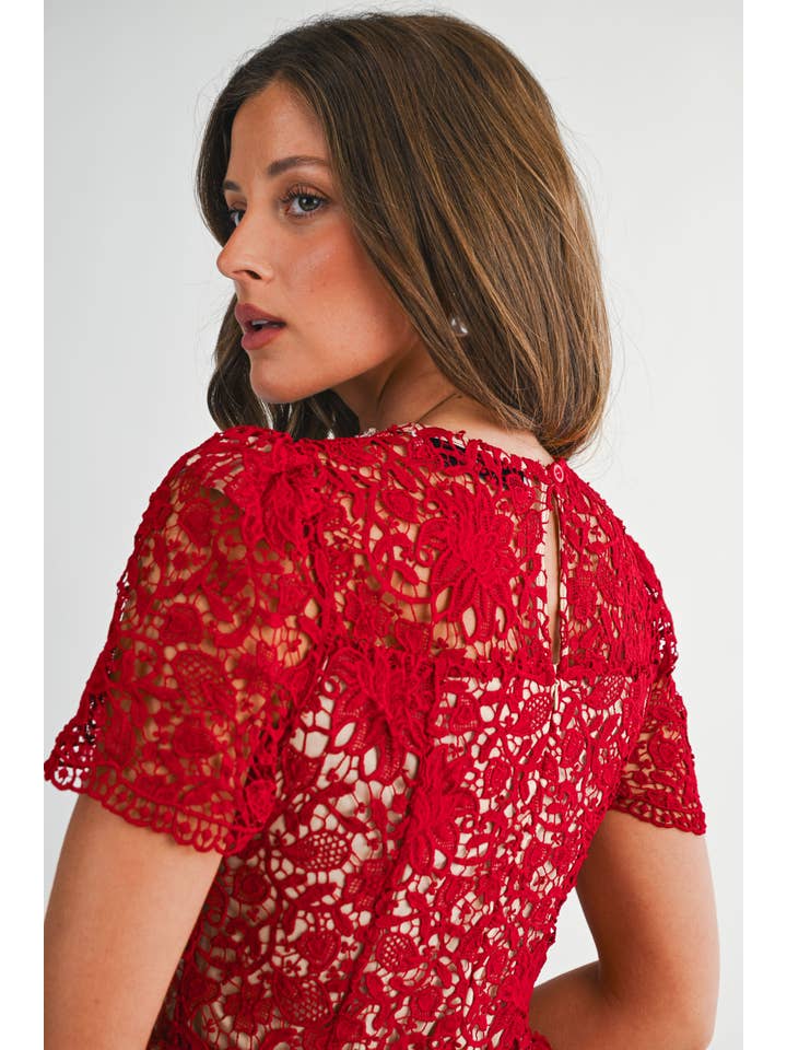 Embellished Lace Fit and Flare Mini Dress - Red