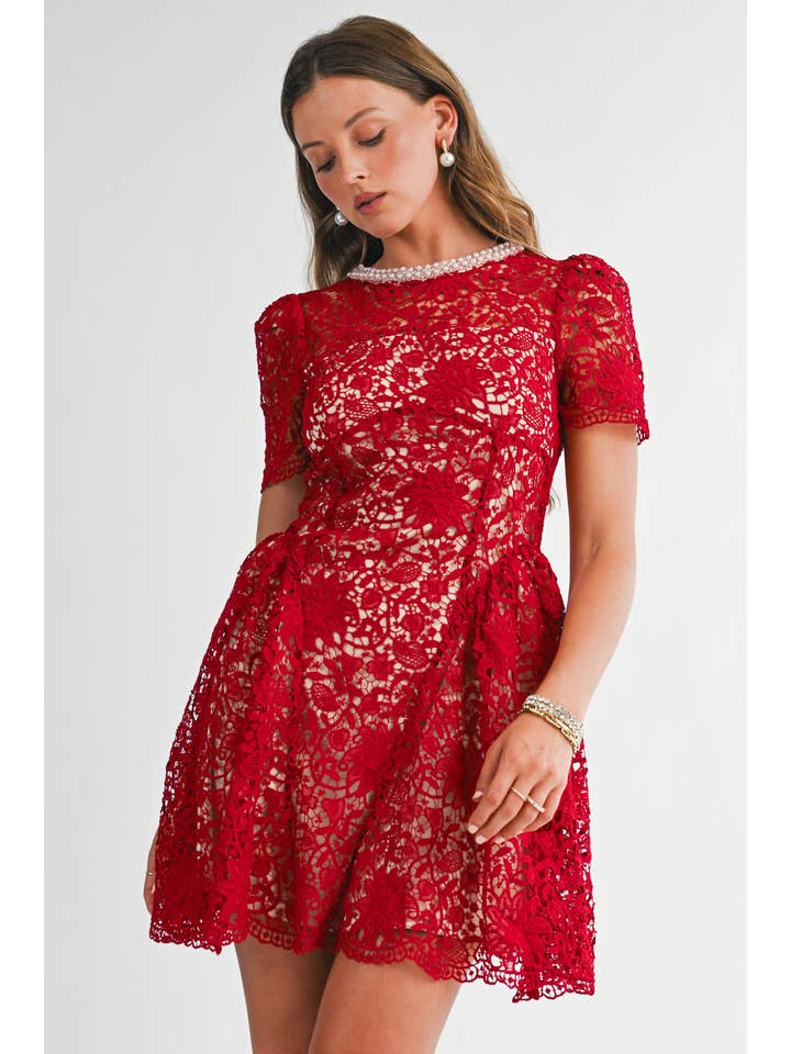 Embellished Lace Fit and Flare Mini Dress - Red