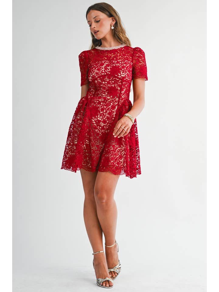 Embellished Lace Fit and Flare Mini Dress - Red