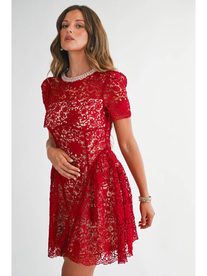 Embellished Lace Fit and Flare Mini Dress - Red