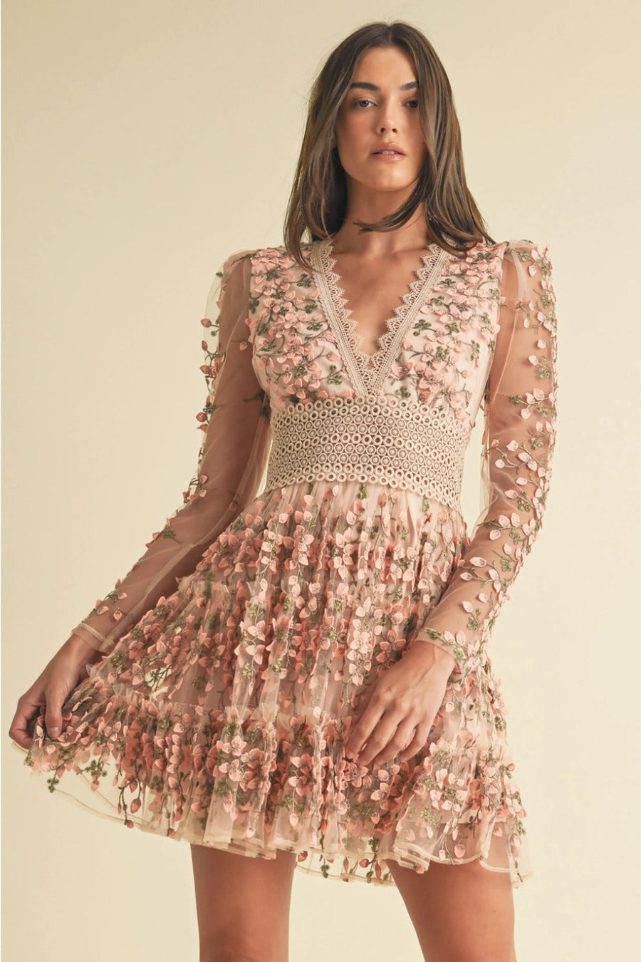 Floral Embroidered Tulle Mini Dress